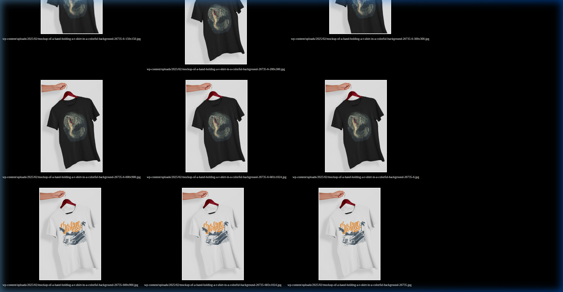 Product View